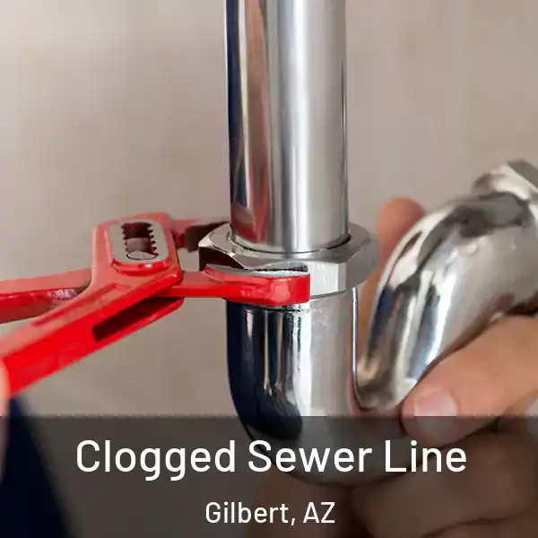  Clogged Sewer Line Gilbert, AZ