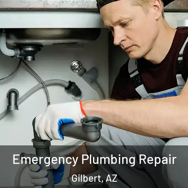  Emergency Plumbing Repair Gilbert, AZ