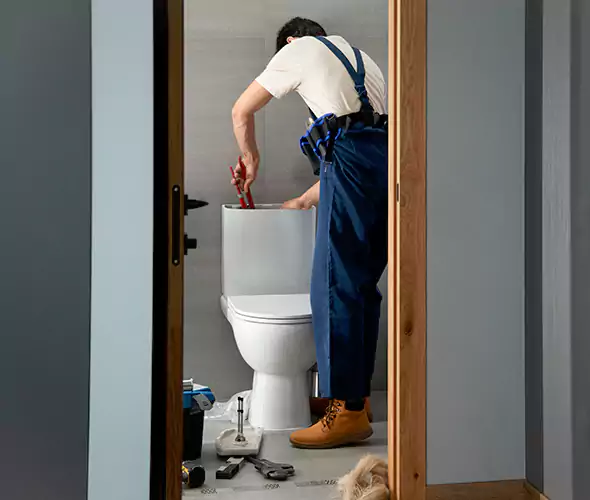 Professional Plumbers for Toilet Bowl Replacement in Gilbert, AZ: Schedule Affordable Toilet Replacement Services With Us