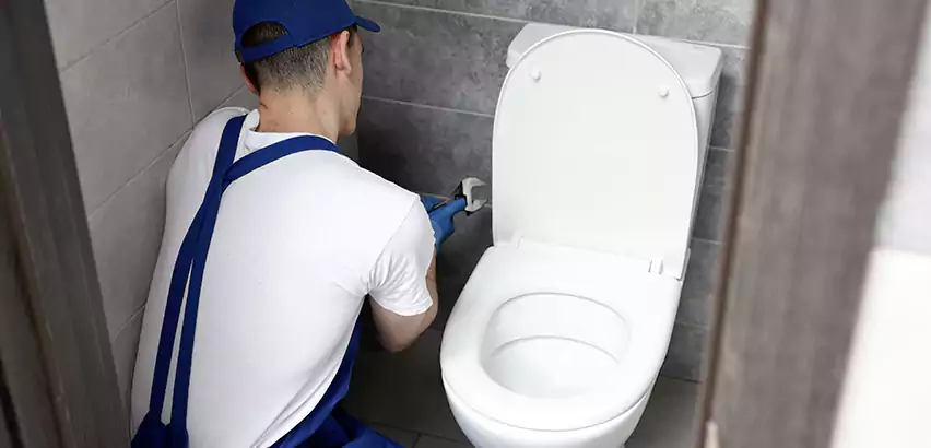 Toilet Lid Replacement in Gilbert