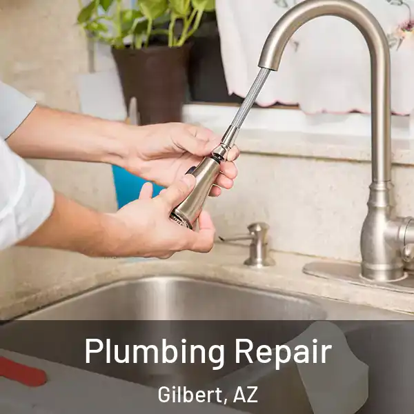  Plumbing Repair Gilbert, AZ