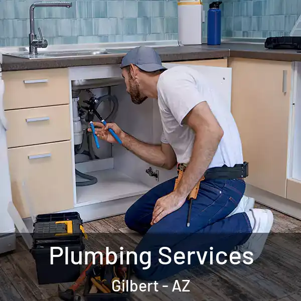  Plumbing Services Gilbert - AZ