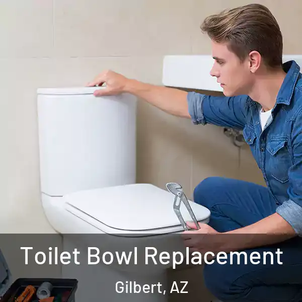  Toilet Bowl Replacement Gilbert, AZ
