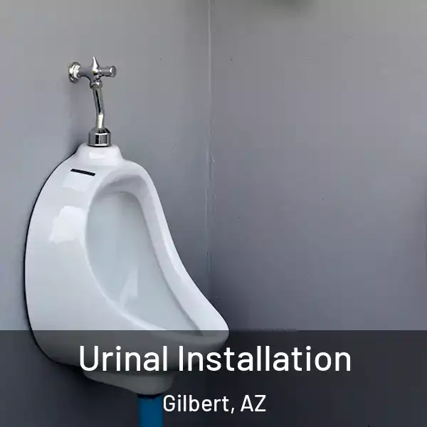  Urinal Installation Gilbert, AZ