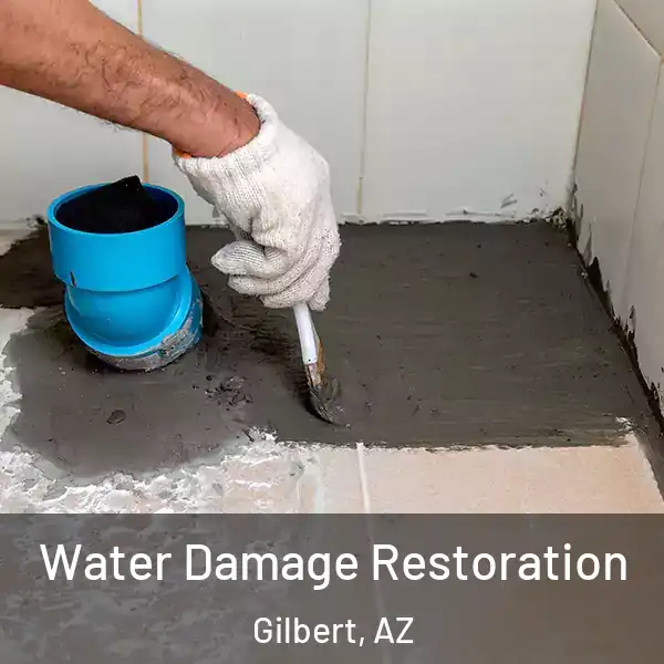  Water Damage Restoration Gilbert, AZ