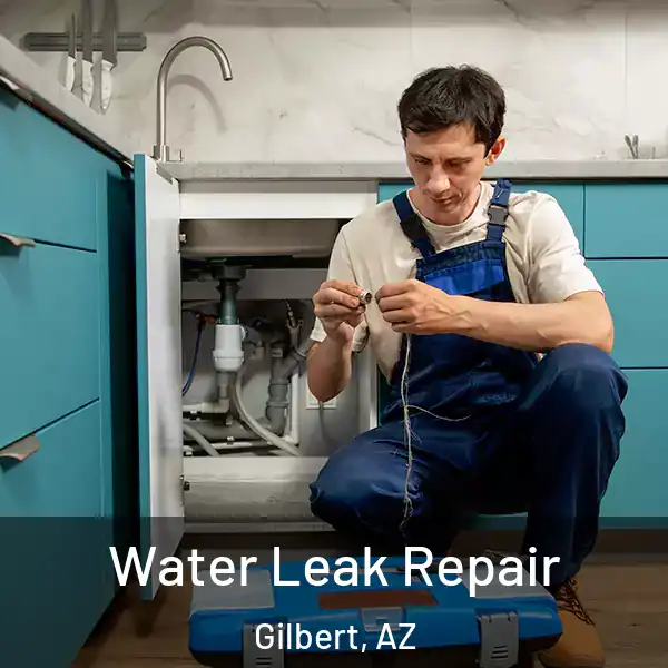  Water Leak Repair Gilbert, AZ